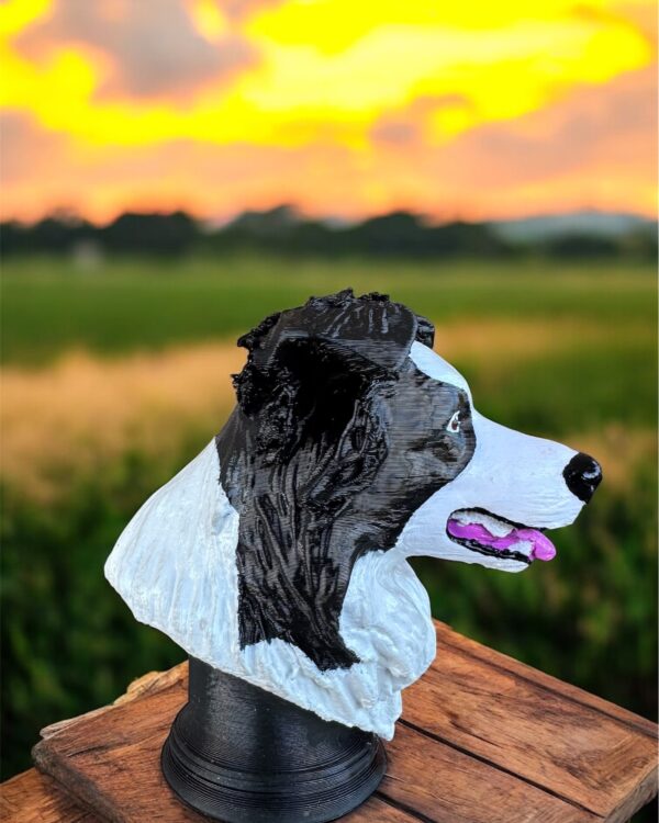 Busto Border Collie 3D