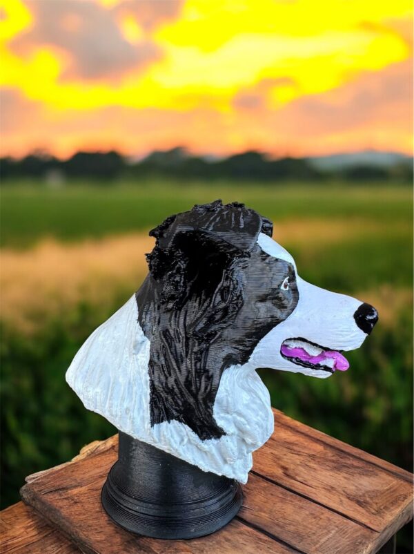 Busto Border Collie 3D