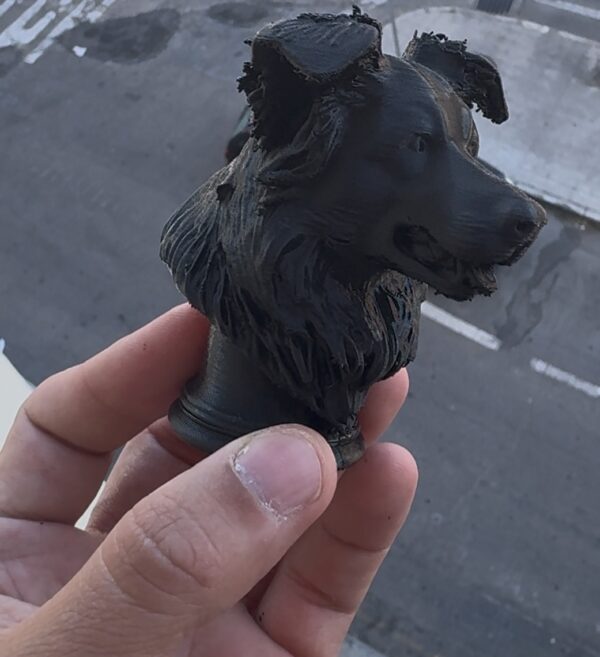 Busto Border Collie 3D - Imagen 3